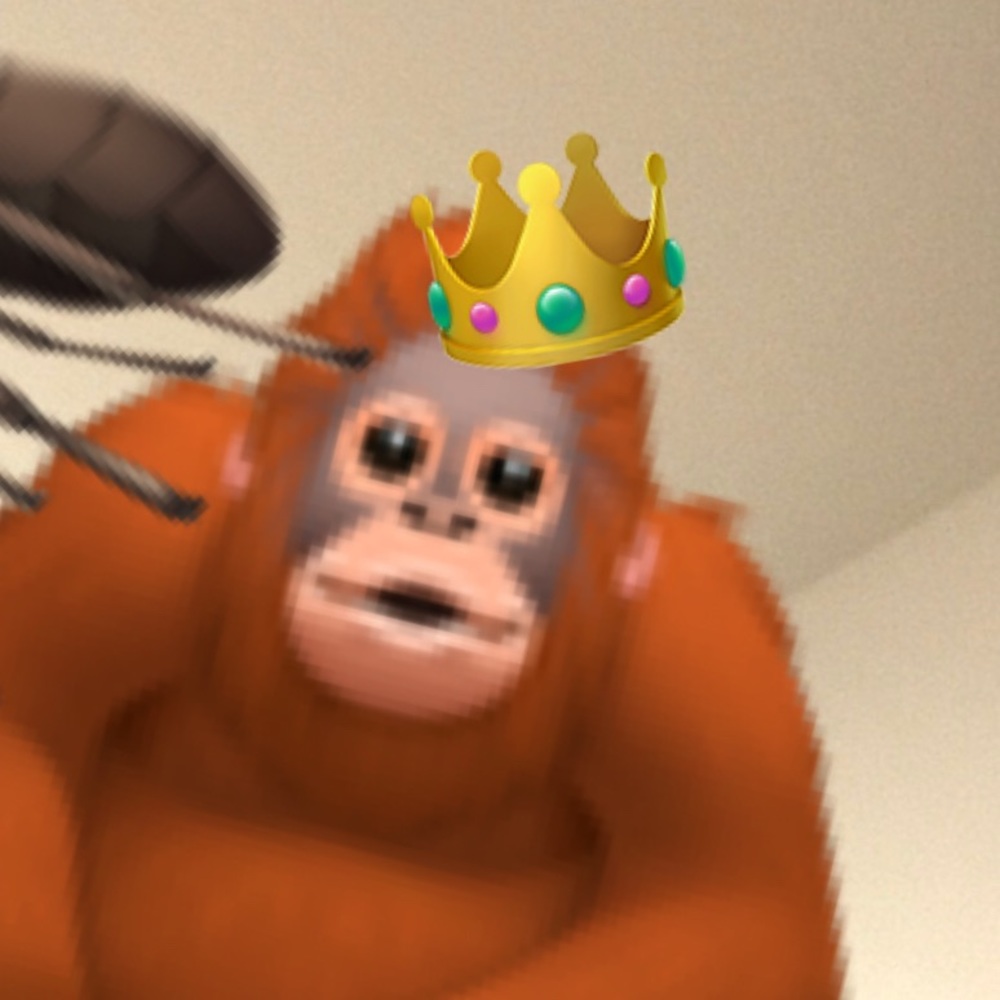 Meet your Posher, Rylee